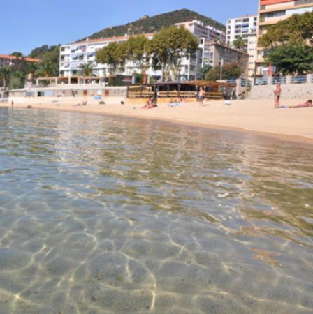 Appartement 50m2 pied dans l’eau Ajaccio  Extérieur photo